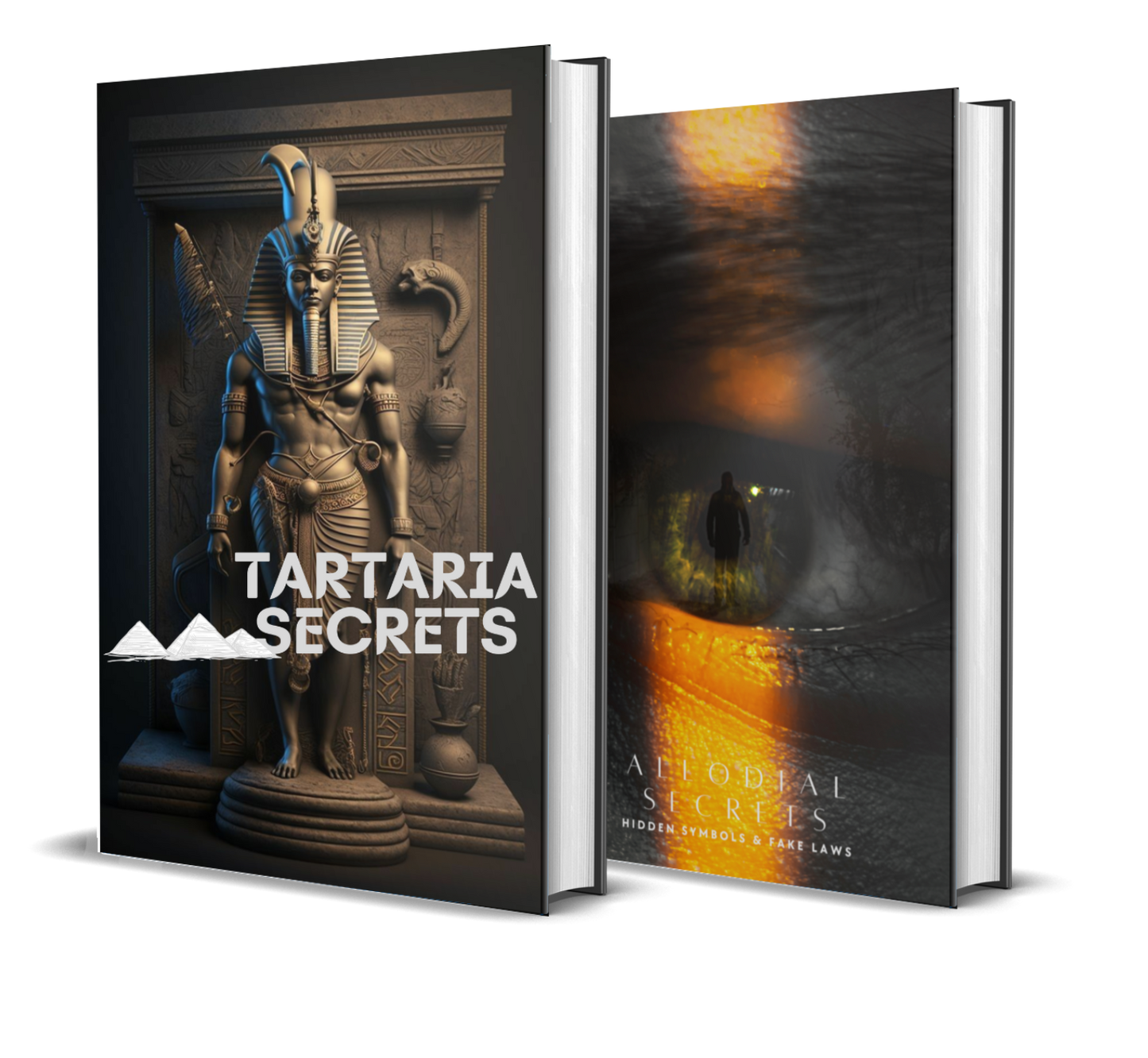 Tartaria Secrets + (FREE) Allodial Secrets (Hidden Symbols & Fake Laws)